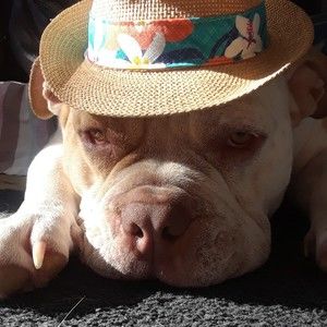 Meet your Posher, Tamara